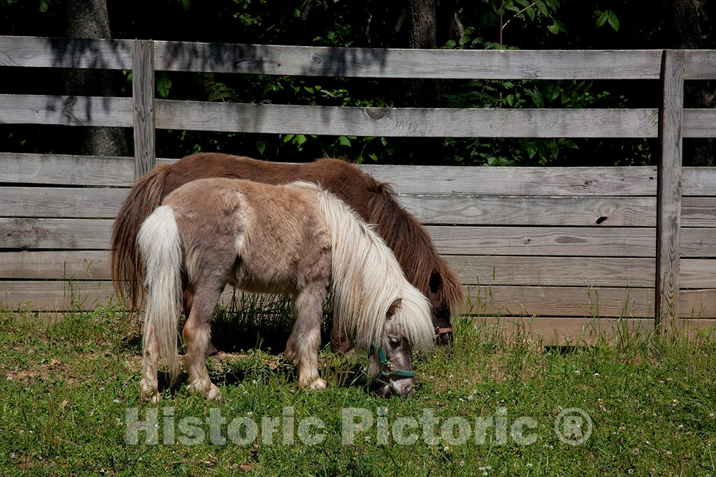 Photo- Burritt on The Mountain, a Living Museum and Historic Park, Huntsville, Alabama 2 Fine Art Photo Reproduction