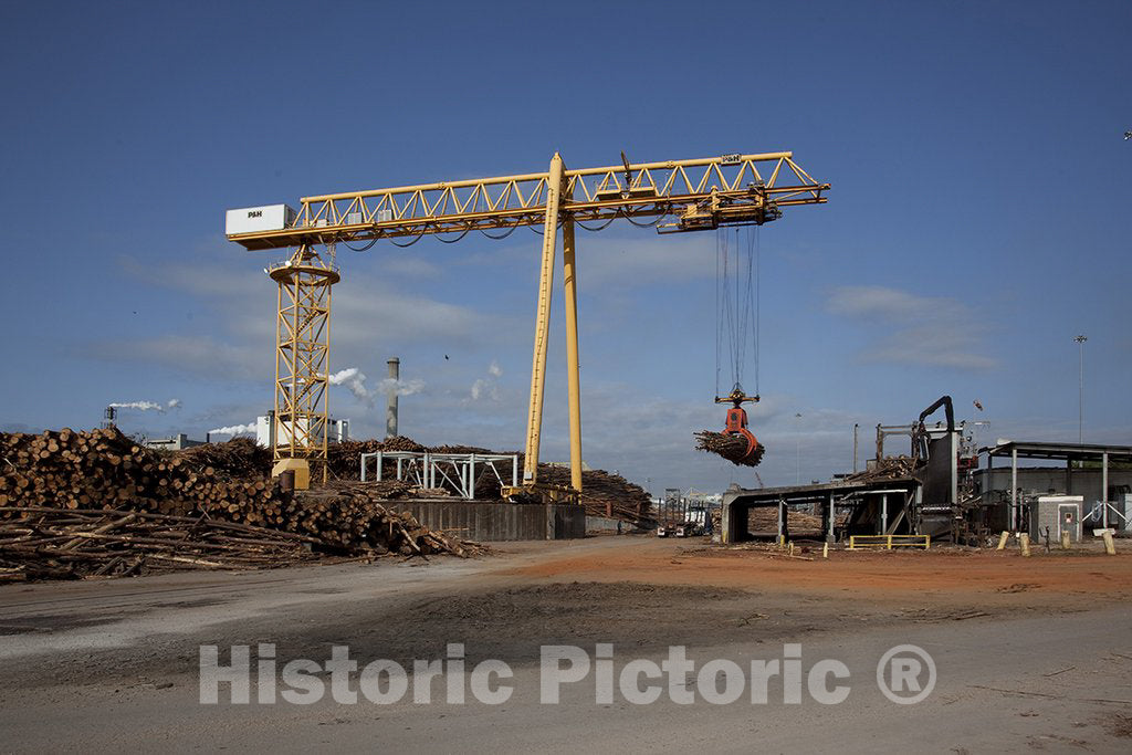 Claiborne, AL Photo - The AL River Pulp Company and The Claiborne Mill Complex, Claiborne, AL