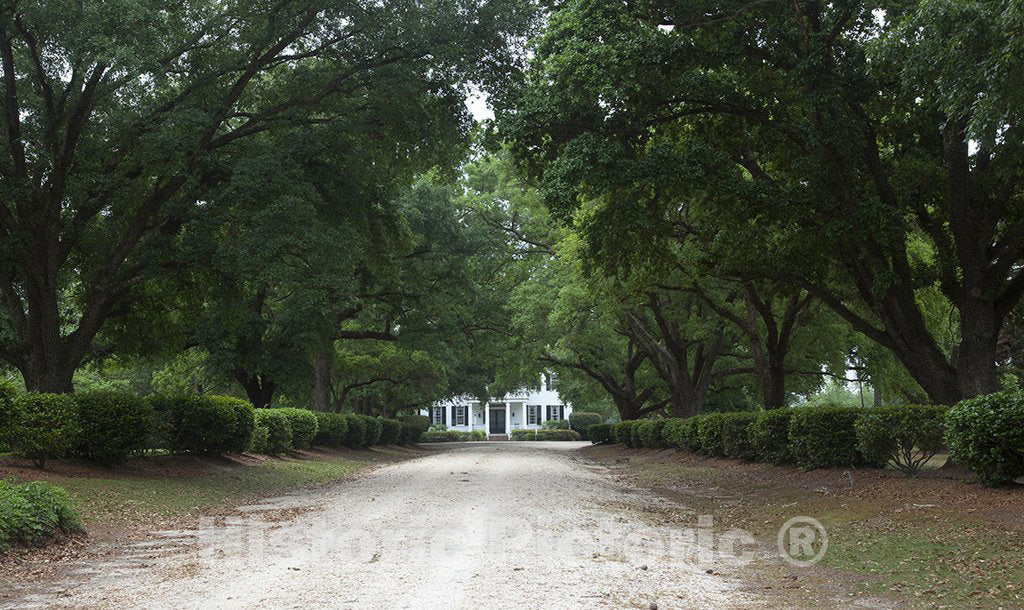 Monroe County, AL Photo - Chasley, Monroe County, Alabama