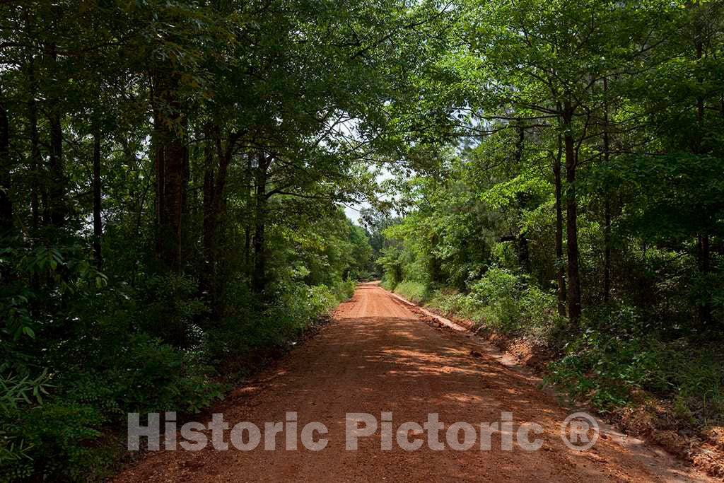 Photo - Red Clay Road in Rural Monroe County, Alabama- Fine Art Photo Reporduction