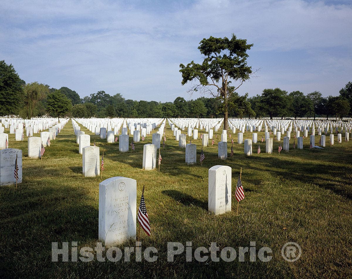 Arlington, VA Photo - Memorial Day at Arlington National Cemetery in Virginia-