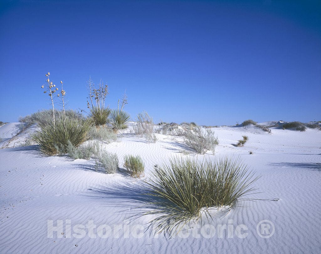 Nebraska Photo - Drifting in the Nebraska sandhills