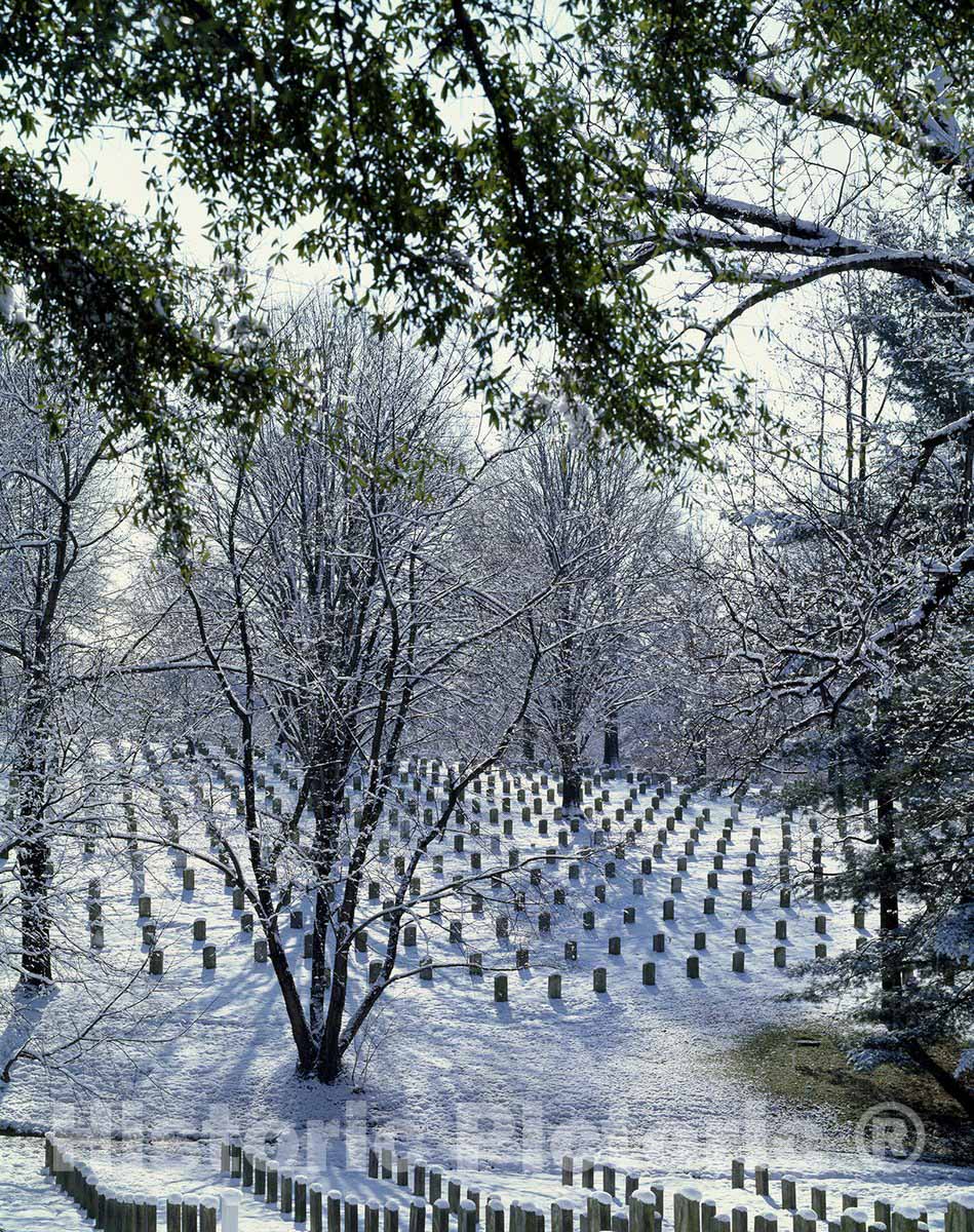 Arlington, VA Photo - Winter View of Arlington Cemetery, Arlington, Virginia-