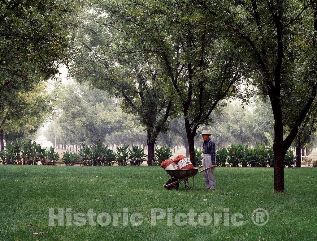 Texas Photo - Results of a pecan harvest in Texas