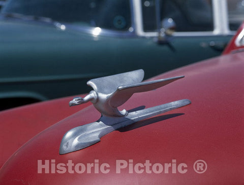 United States Photo - Classic car Hood Ornament