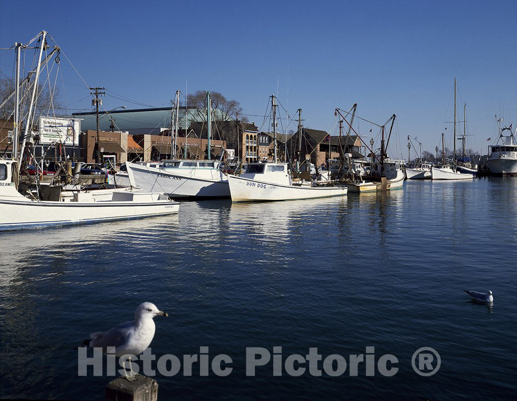 Annapolis, MD Photo - Harbor at Maryland's Capital City, Annapolis