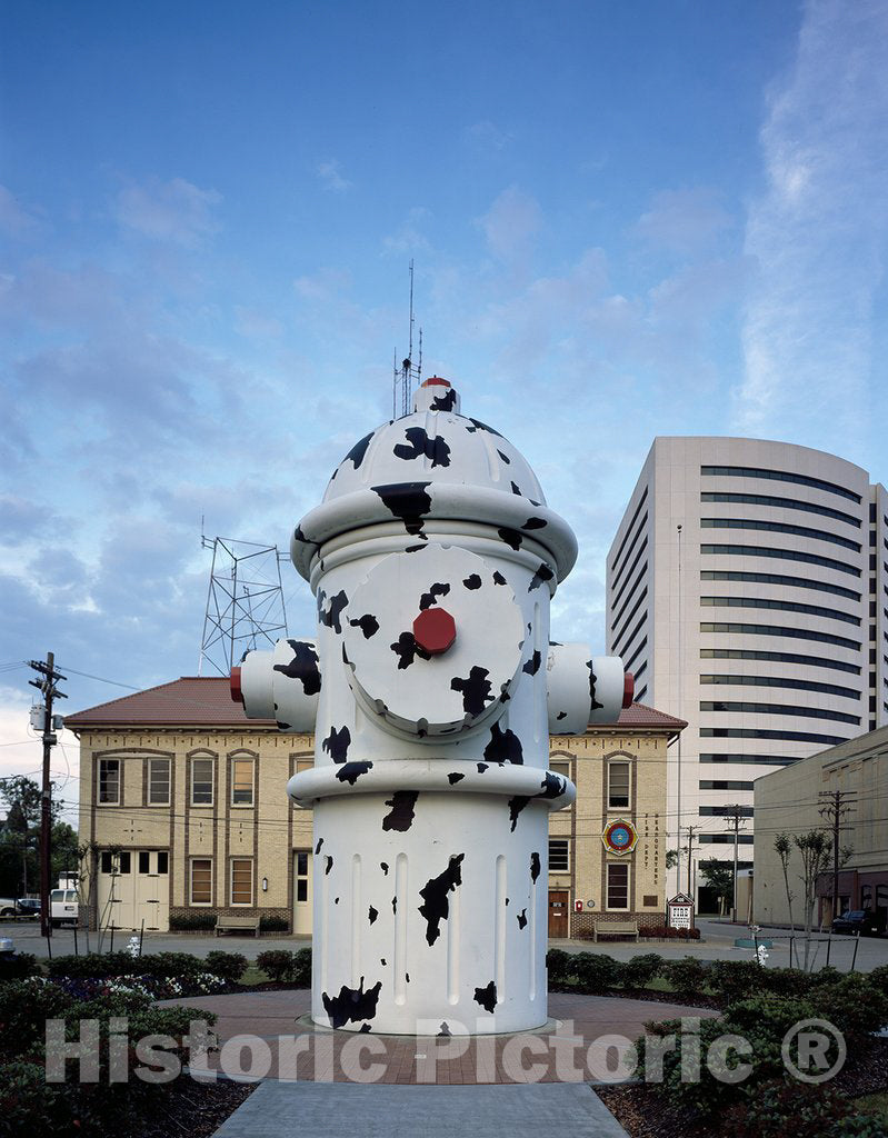 Beaumont, TX Photo - Fire Hydrant Public Art in Front of The Fire Museum of Texas in Beaumont