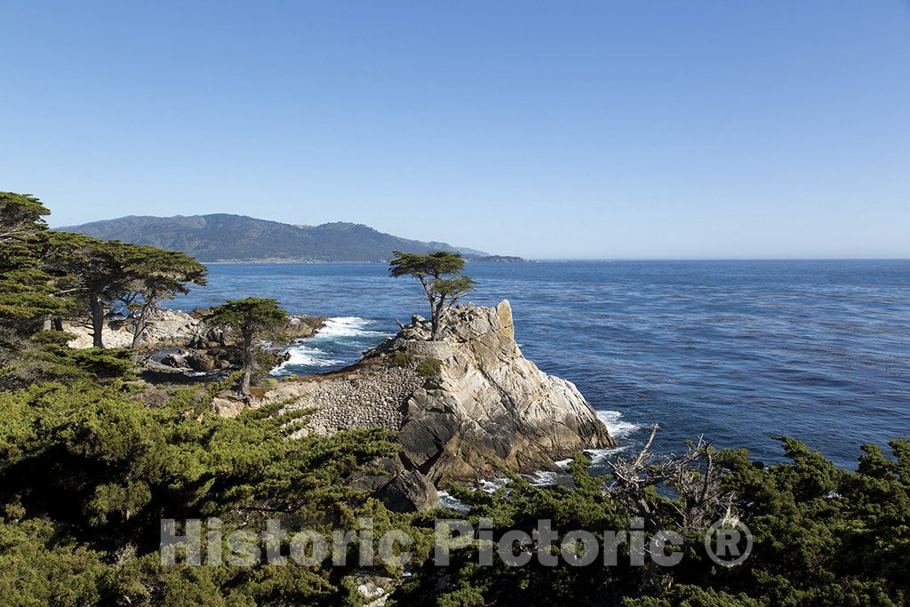 California Photo - Lone Cypress on The 17-Mile Drive, Monterey Peninsula, California