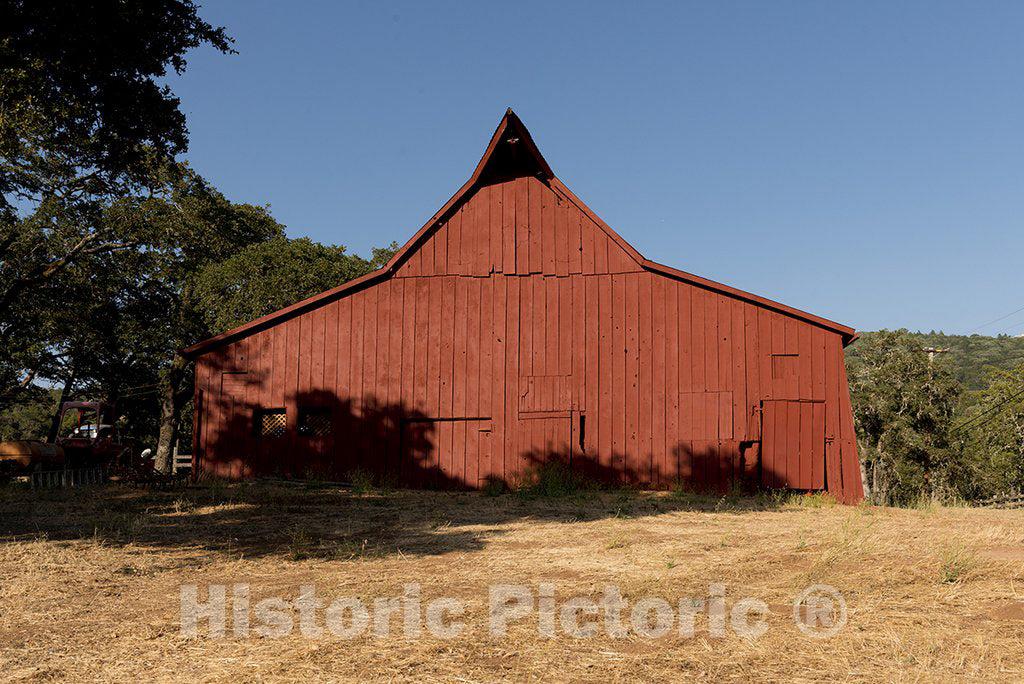 California Photo - Barn, California vineyards