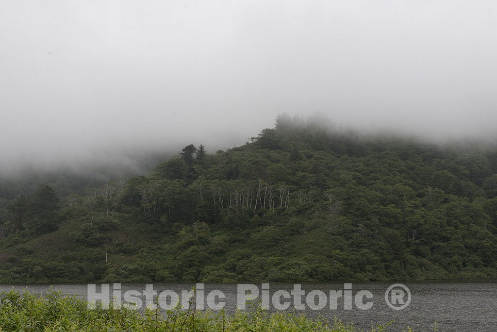 California Photo - Scenic View of Fog Over Forest Taken from Route 1 in Northern California