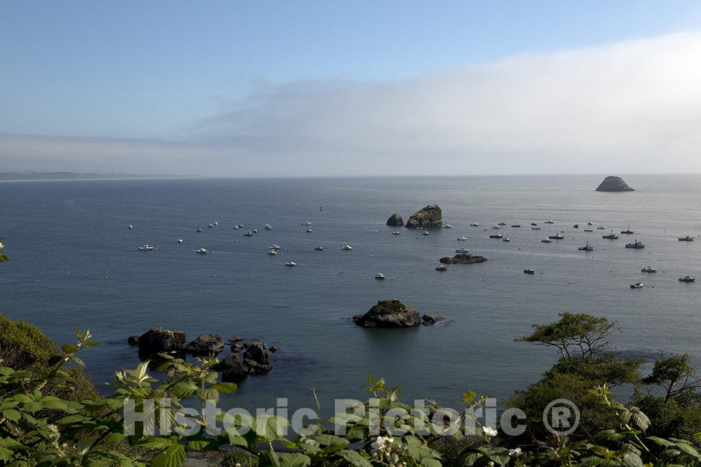 Trinidad, CA Photo - View of Pacific Ocean, Trinidad, California