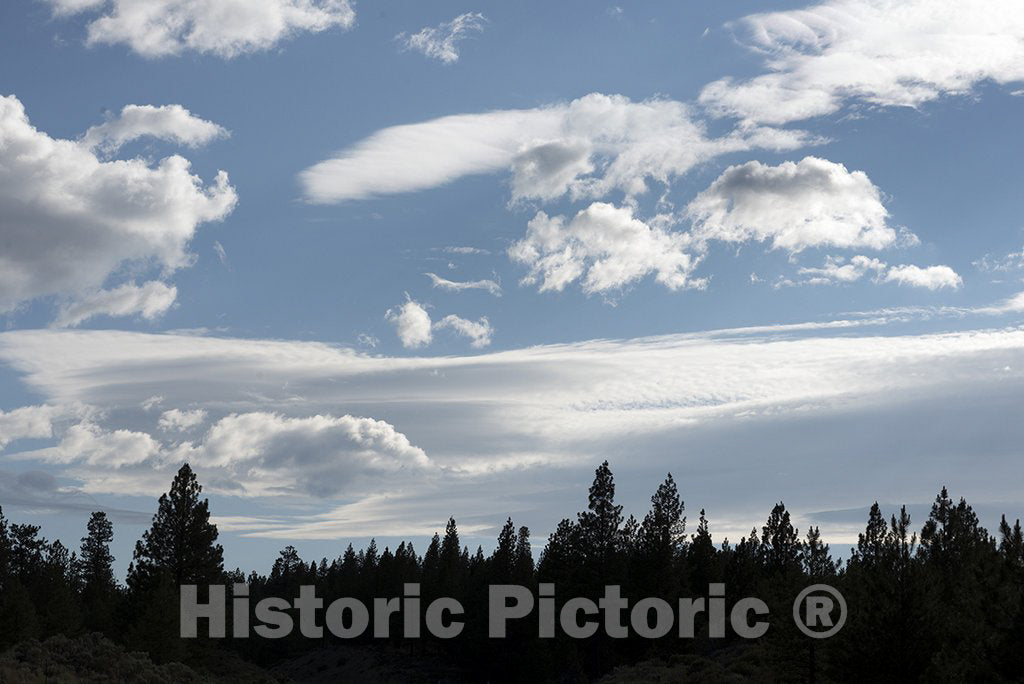 California Photo - Scenic View of Northern California