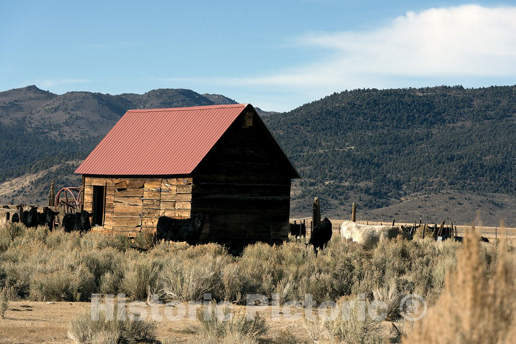 California Photo - Barn Along The Road in Northern California