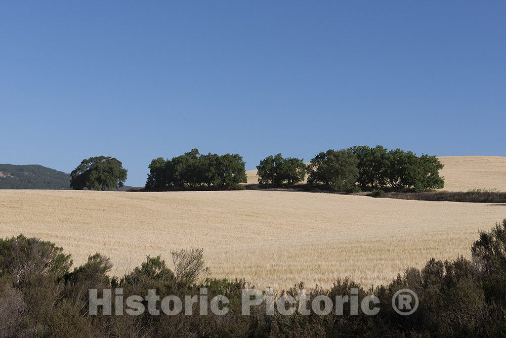 California Photo - Scenic Views Along Route 46 in California