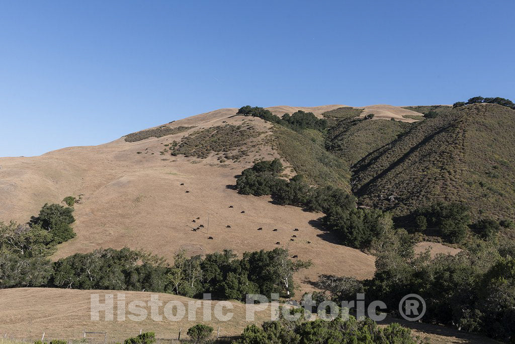 California Photo - Scenic views along route 46 in California