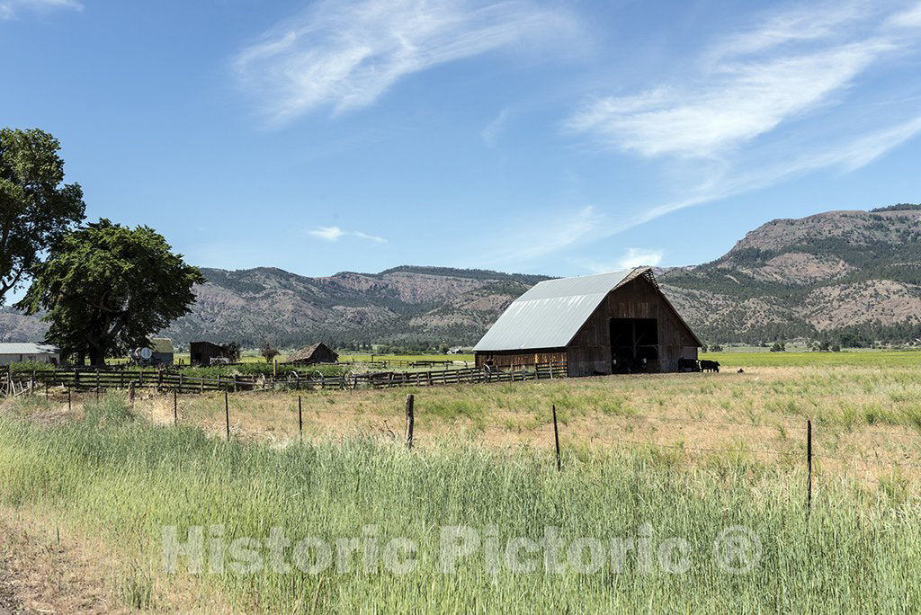 California Photo - Scenic view: farm in Northeast California