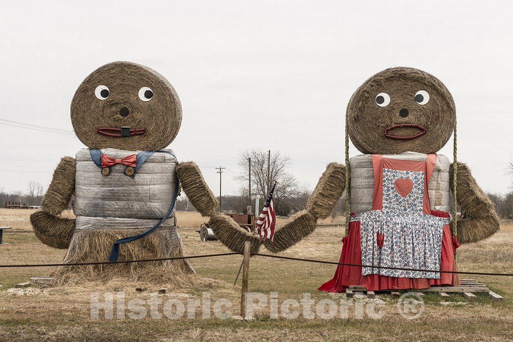 Titus County, TX Photo - Hay bales are transformed into art in a field in Titus County, Texas