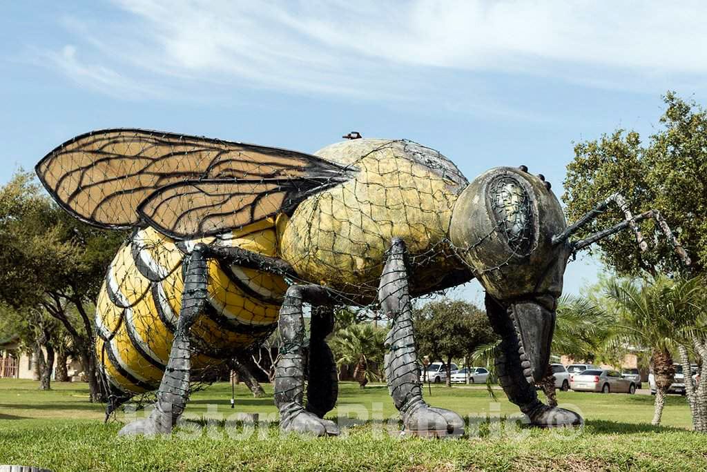 Photo - Hidalgo, Texas's, Killer Bee Statue- Fine Art Photo Reporduction