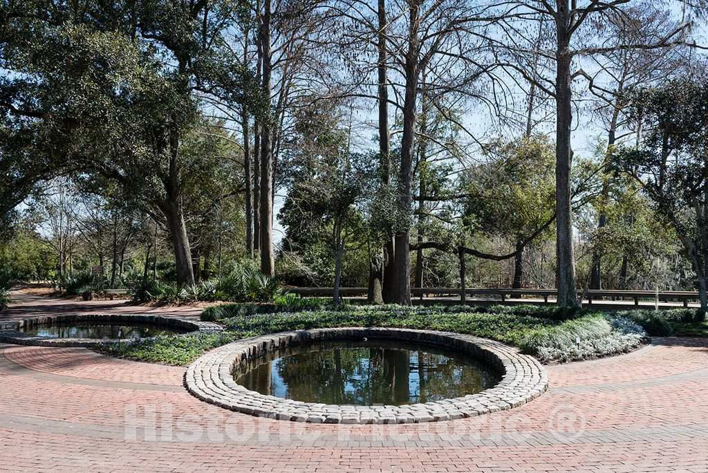 Photo- Scene from The 252-acre Shangri La Botanical Center and Nature Gardens in Orange, Texas 1 Fine Art Photo Reproduction