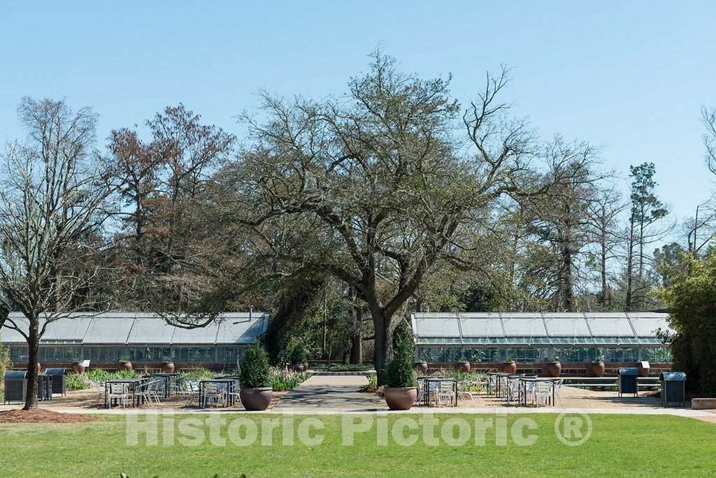 Photo- Scene from the 252-acre Shangri La Botanical Center and Nature Gardens in Orange, Texas 2 Fine Art Photo Reproduction