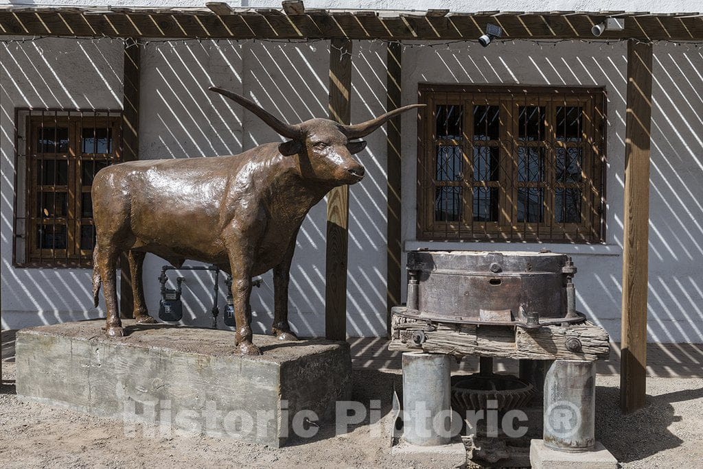 San Elizario, TX Photo - Longhorn Steer Wooden Sculpture in The Arts District of Little San Elizario, Near El Paso, Texas