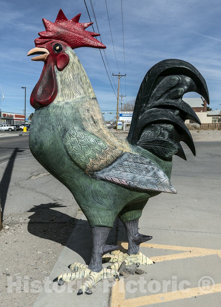 Fabens, TX Photo - Large Metal Chicken, a curiously Favorite Outdoor Decoration in Many Parts of West Texas. This one Stands in Little Fabens, Near El Paso, Texas