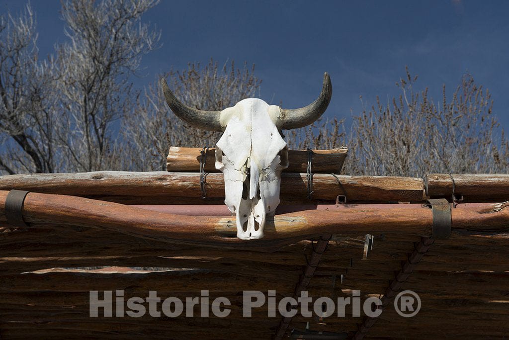 El Paso County, TX Photograph - Steer skull outside the regionally famous Cattleman's Steakhouse, which is located on old, isolated ranch several miles north of the little town of Fabens, Texas