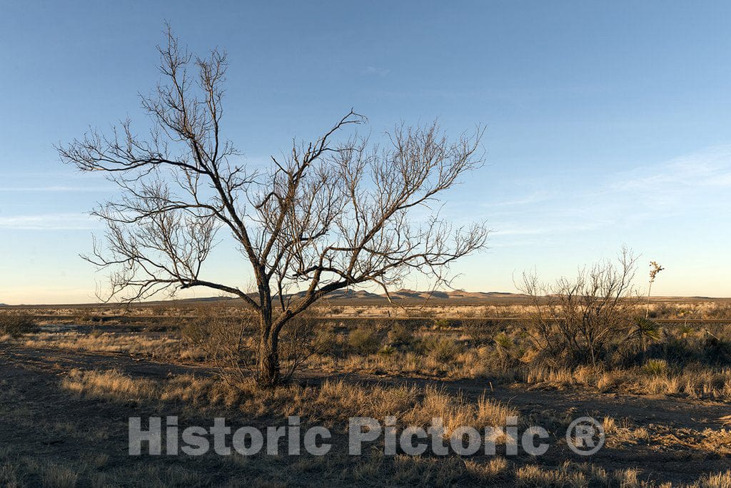 Texas Photo - Midwinter Rural Scene in far-west Texas