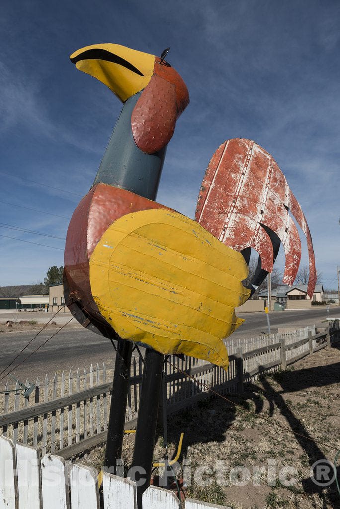 Alpine, TX Photograph - for Some Reason, Large Metal Chickens are Popular Yard Art Throughout Texas. This one Stands just Outside The University Town of Alpine in Southwest Texas