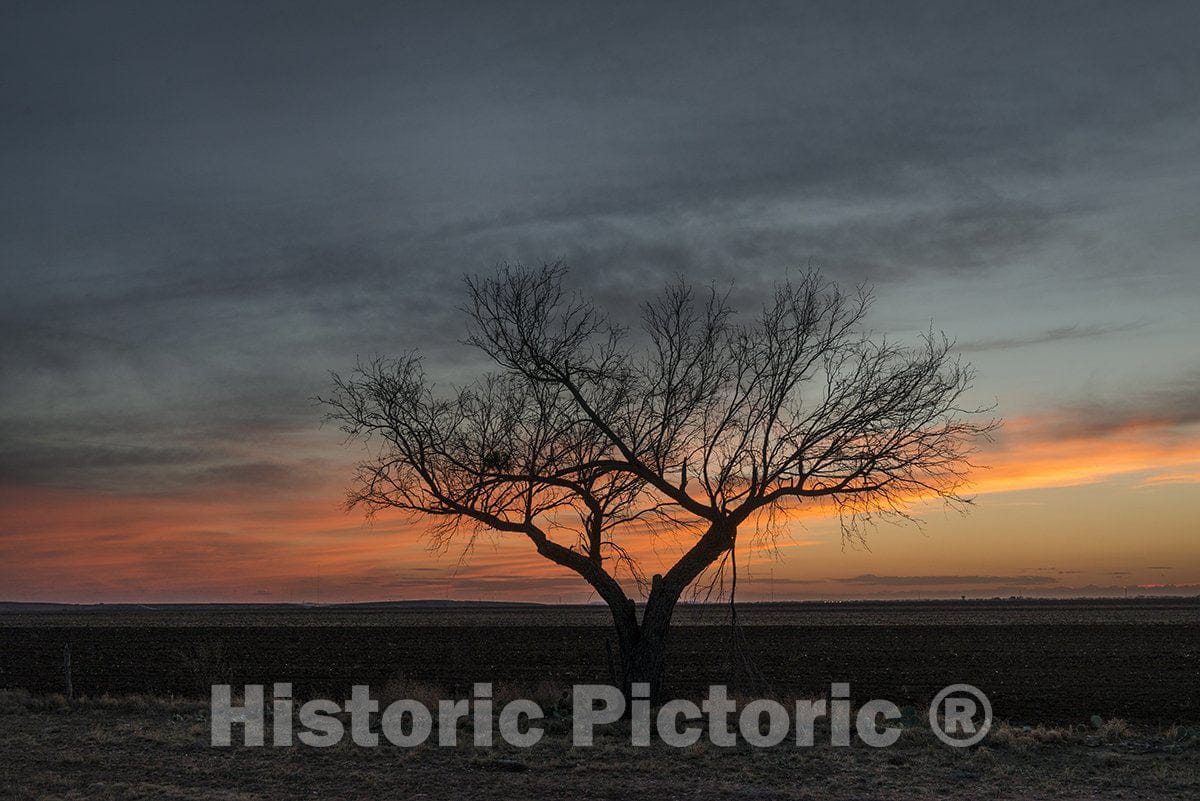 Tom Green County, TX Photo - Sunset Scene in Rural Tom Green County, Texas-