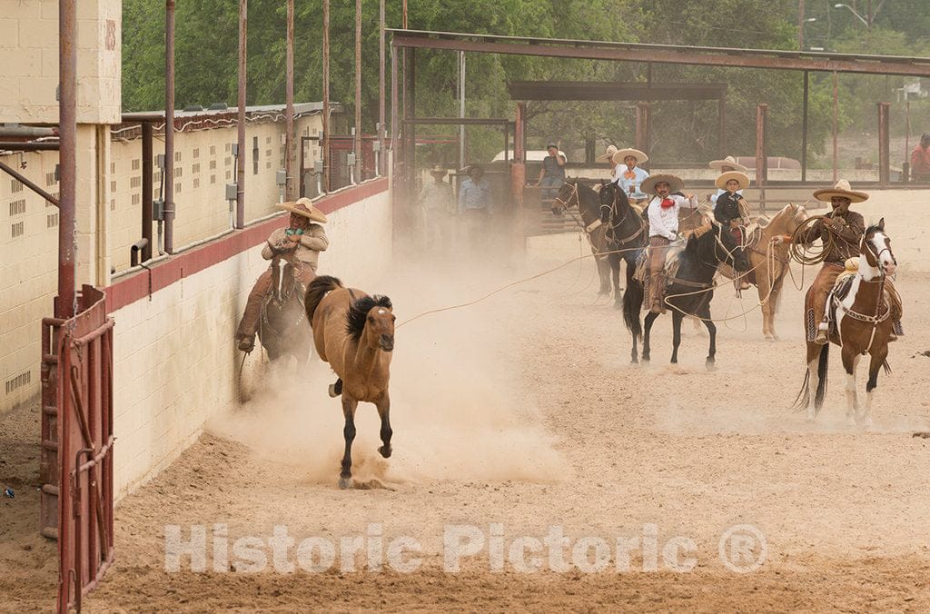 Photo- Scene from a Mexican-style rodeo, or Charreria, at"A Day in Old Mexico," part of the annual, monthlong Fiesta celebration in San Antonio, Texas 1 Fine Art Photo Reproduction