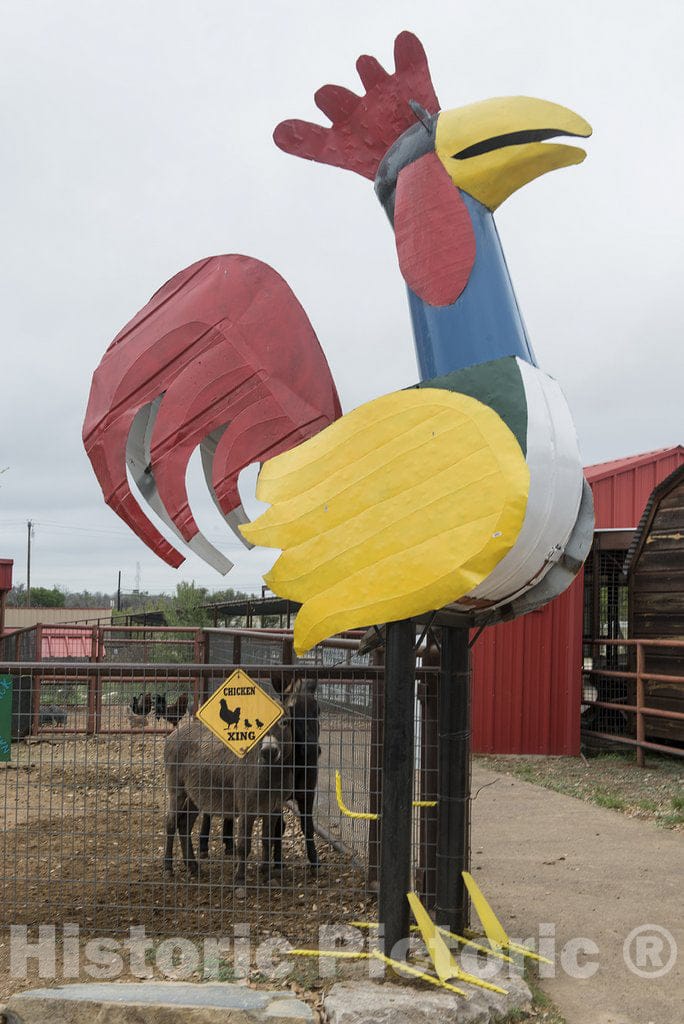 Marble Falls, TX Photo - Large metal chickens for sale at the Pottery Ranch pottery store in Marble Falls, Texas. Such chicken yard art is quite popular throughout Texas