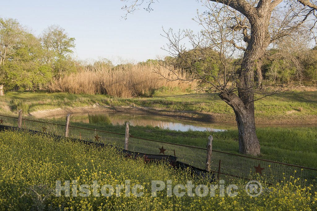 Blanco County, TX Photo - Tall Grasses, a Pond, and a Fence Decorated with The Texas Lone Star in Rural Blanco County, Texas