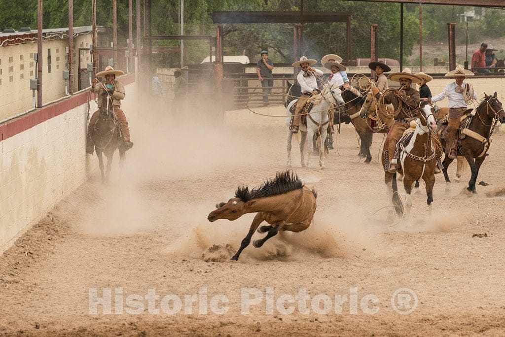 Photo- Scene from a Mexican-style rodeo, or Charreria, at"A Day in Old Mexico," part of the annual, monthlong Fiesta celebration in San Antonio, Texas 2 Fine Art Photo Reproduction