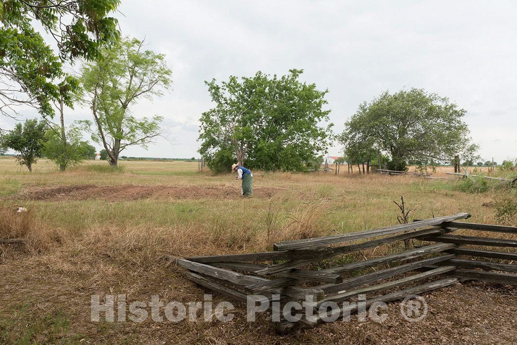 Photo- Historical Interpreter Tina Griffith sows Seeds by Hand at The George Ranch Historical Park, a 20,000-acre Working Ranch in Fort Bend County, Texas, Featuring Historic Homes