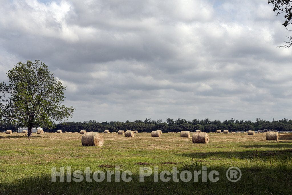 Fort Bend County, TX Photo - Rural Scene in Fort Bend County, Texas, Southwest of Houston