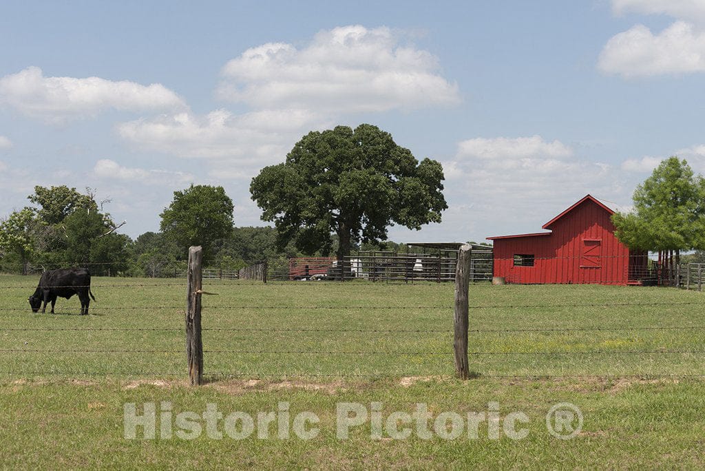 Texas Photo - Vivid red barn in East Texas