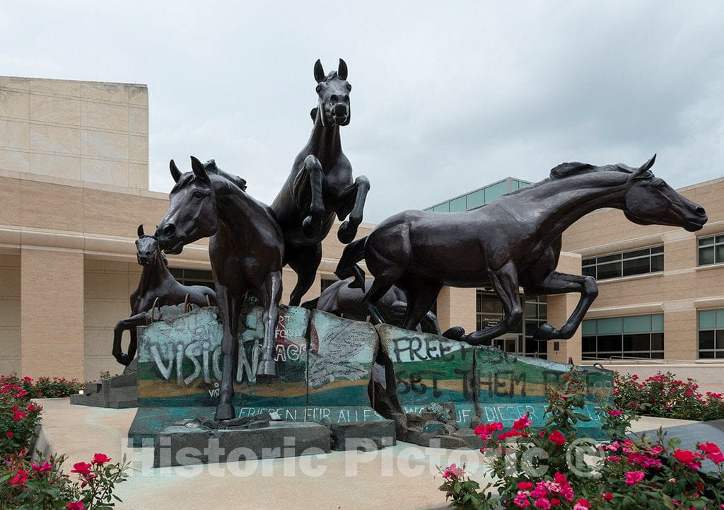 Photo- Veryl Goodnight's"The Day the Wall Came Down" sculpture, a seven-ton bronze creation on the Texas A&M University campus in College Station, Texas, that depicts horses jumping