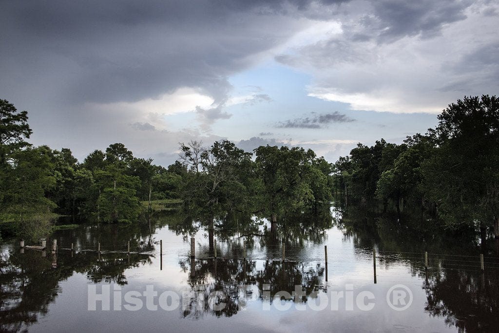 Hardin County, TX Photo - Swampy Scene in Rural Hardin County in Southeast Texas