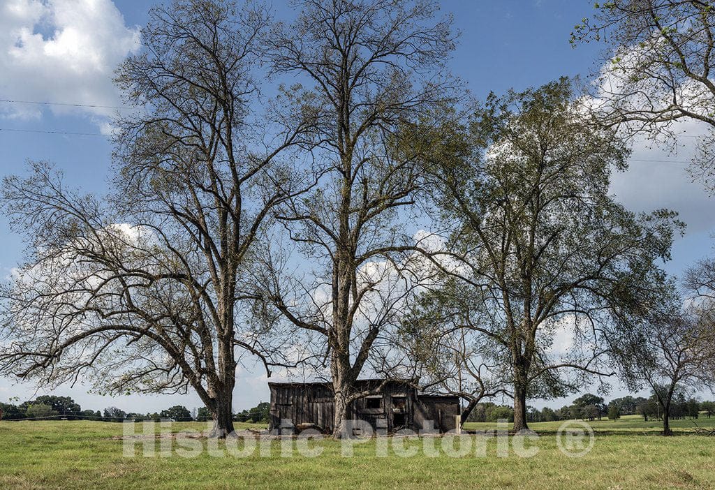 Hunt County, TX Photo - Old Cabin in Hunt County, Texas, Near Greenville