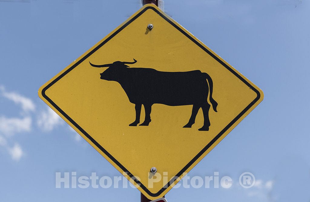 Fort Worth, TX Photo - in The Stockyards District of Fort Worth, Texas