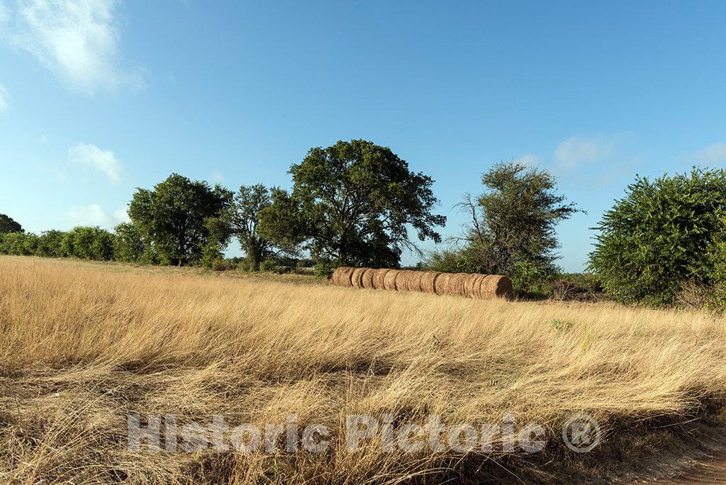 Photo- A Portion of The Prairie Chapel Ranch in McLennon County, Near Crawford, Texas, Owned by Former President George W. Bush and Former First Lady Laura Bush 1