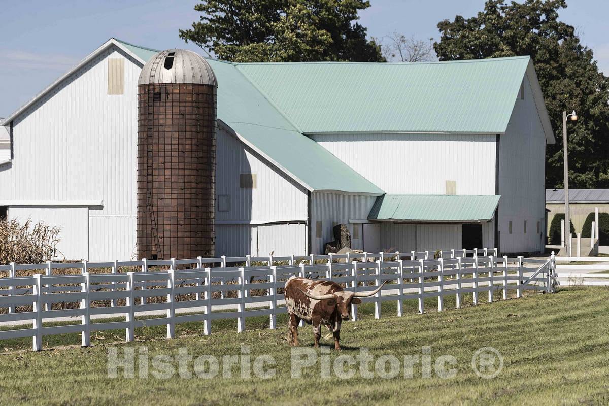 Photo - This is not Texas but it is a farm in Elkhart County, Indiana, that, for some reason, keeps a longhorn steer- Fine Art Photo Reporduction