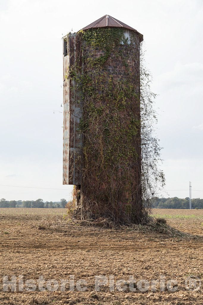 Photo - Rust Didn't get This Old silo Outside Batesville, Mississippi, Since It's Made of Brick. But Vines are overwhelming it- Fine Art Photo Reporduction