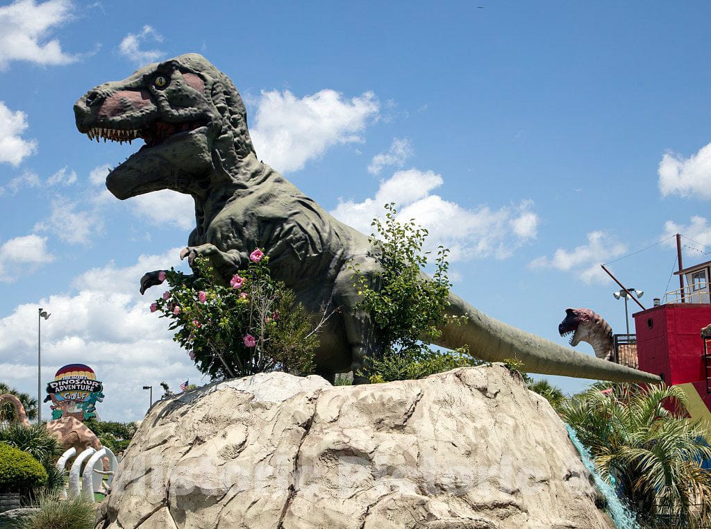 Photo- The Prehistoric Monsters at Dinosaur Adventure Golf, a Miniature-Golf Attraction in North Myrtle Beach, South Carolina, are More Amusing Than Ferocious 1 Fine Art Photo