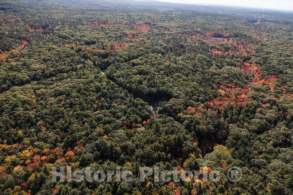 Photograph- An October 2017 aerial view of a mixture of evergreens (Maine is known as the Pine Tree State) and deciduous trees at the height of their fall colors in the forests near Ogunquit