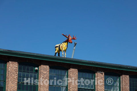 Photo - Yes, That is a Moose, albeit one That's an Art Installation, ATOP one of The Old Holden-Leonard Mill Buildings in Bennington, Vermont- Fine Art Photo Reporduction