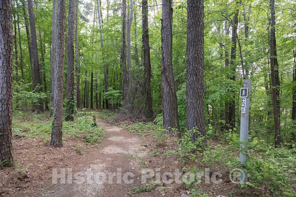 Photo - Footpath Along The Natchez Trace Parkway Near Tupelo, Mississippi- Fine Art Photo Reporduction