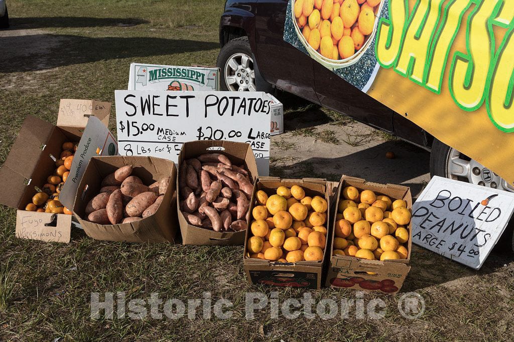 Photo - A Roadside Produce vendor's Wares, Laid Out Near Escatawpa, Mississippi- Fine Art Photo Reporduction