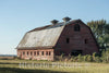 Photo - A Once-imposing Dairy barn Near Farrell, Mississippi- Fine Art Photo Reporduction